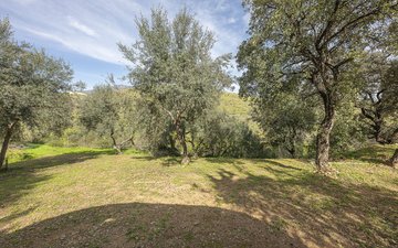 Property slide 106