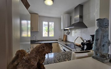 Property slide 8