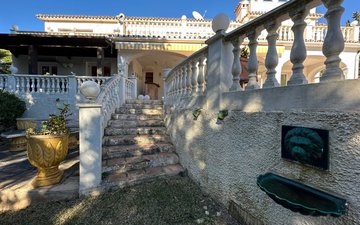 Property slide 51