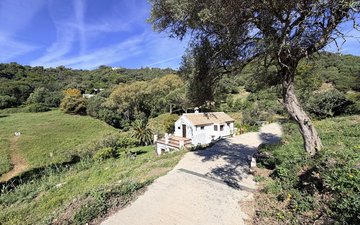 Property slide 2