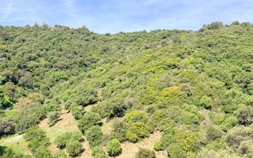 Property slide 24