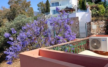 Property slide 19