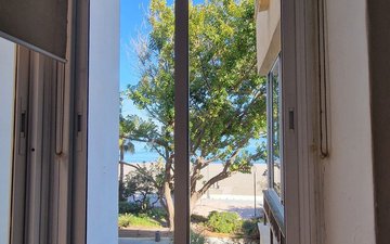 Property slide 4