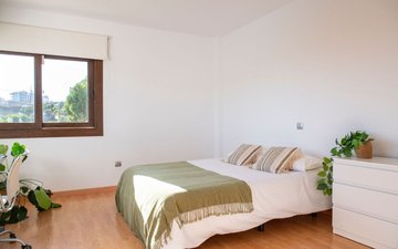 Property slide 15