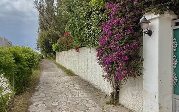 Property slide 37