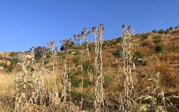 Property slide 3