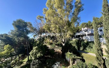 Property slide 37