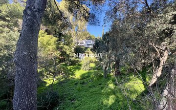 Property slide 50