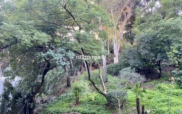 Property slide 55
