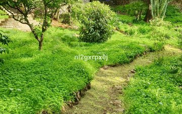 Property slide 59