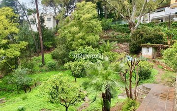 Property slide 60