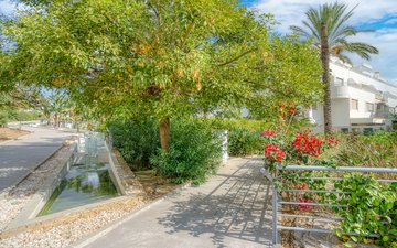 Property slide 23