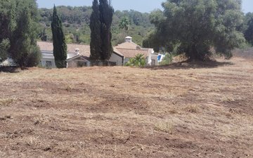 Property slide 3