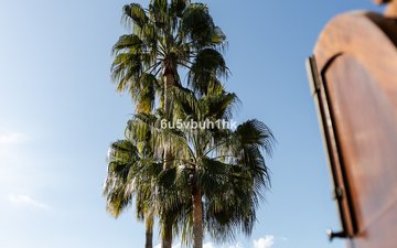 Property slide 25