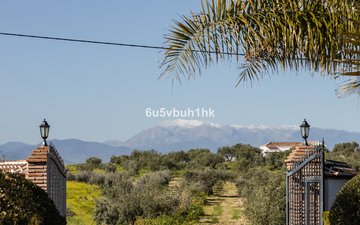 Property slide 37