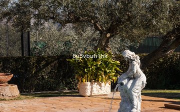 Property slide 38