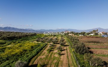 Property slide 44
