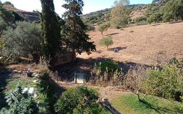 Property slide 11