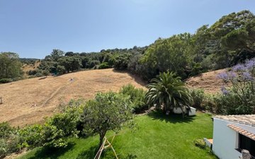 Property slide 19