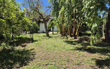 Property slide 33