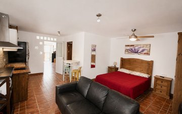 Property slide 37