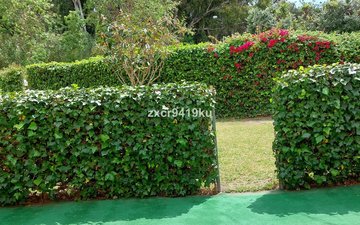 Property slide 19