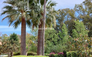 Property slide 20