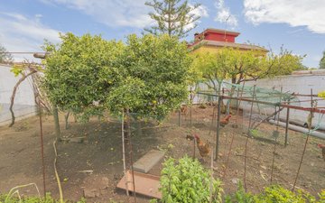 Property slide 15