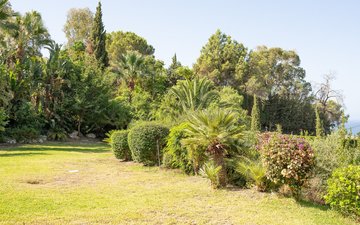 Property slide 30