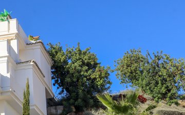Property slide 78