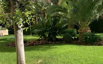 Property slide 34