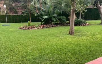 Property slide 37