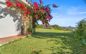 Property slide 37