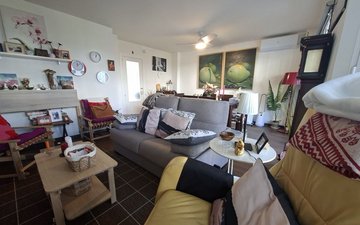 Property slide 13