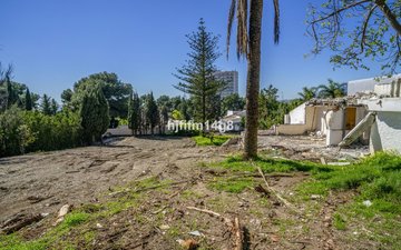 Property slide 13