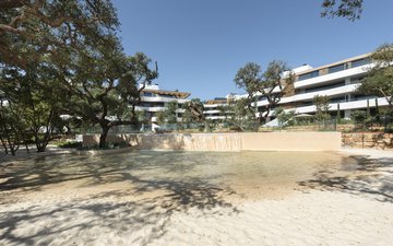 Property slide 31