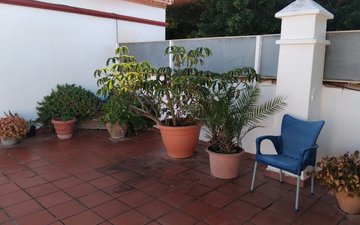 Property slide 37