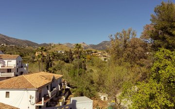 Property slide 24