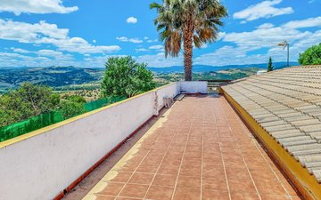 Property slide 31