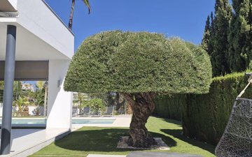 Property slide 34