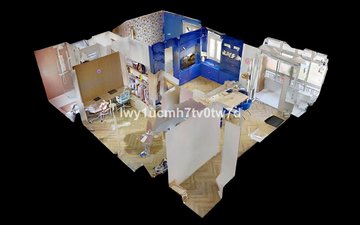Property slide 31