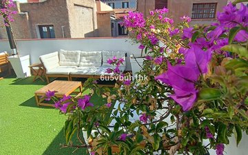 Property slide 26