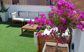 Property slide 4