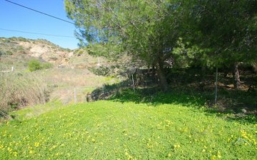 Property slide 41