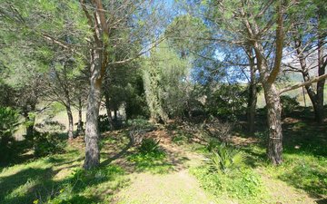 Property slide 43
