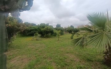Property slide 5