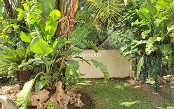 Property slide 11