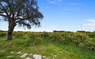 Property slide 25