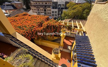 Property slide 43