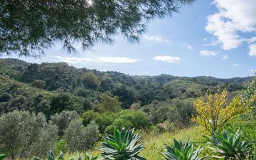 Property slide 31